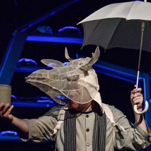 kalika-z-ostrova-inishmaan-1 kalika-z-ostrova-inishmaan-1